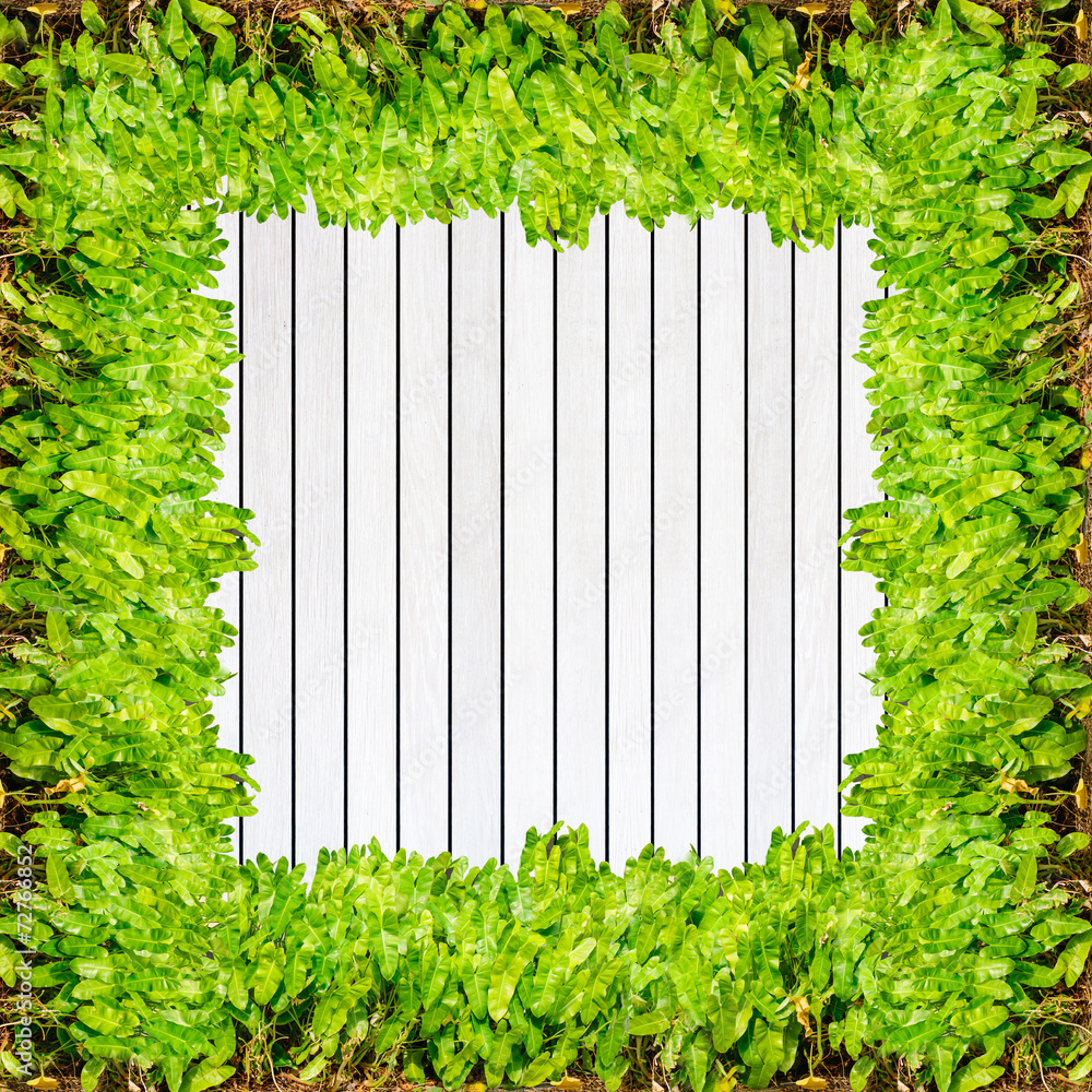 Wood texture background plank panel timber and green plant Calad Stock ...