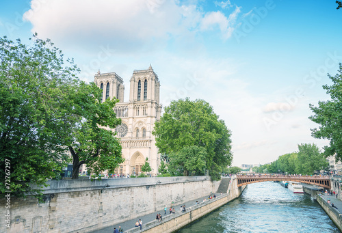 Notre Dame cathedral in Paris on a beautiful summer day © jovannig