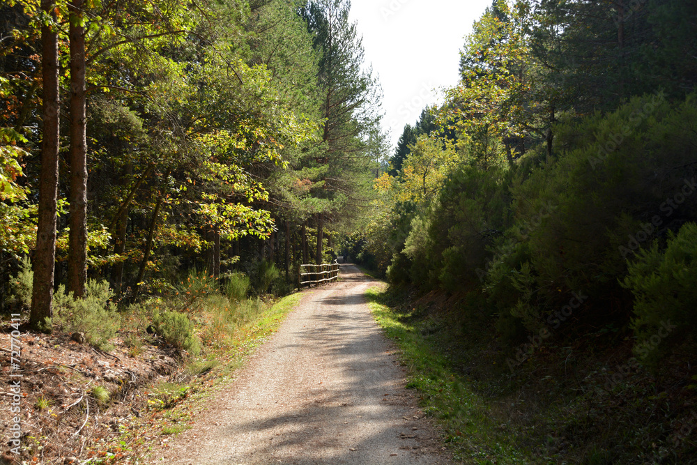 via verde en burgos, ferrocarril minero