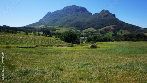 Mountains in Stellenbosch wine region, outside of Cape Town, Sou