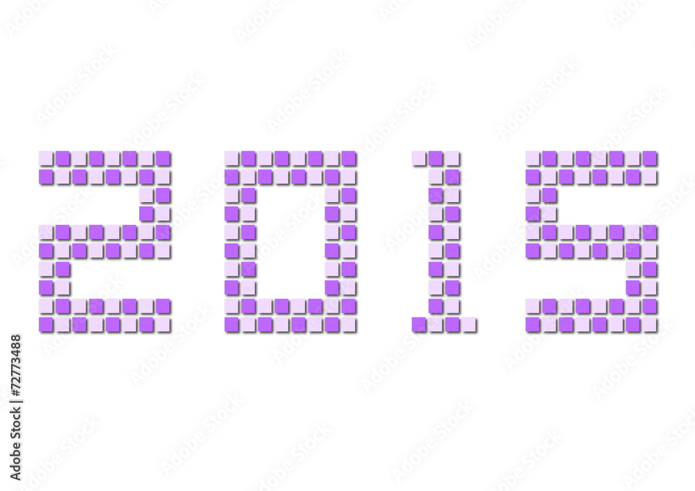 2015年 2015年