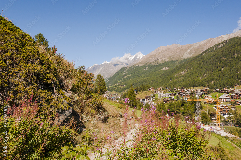 Zermatt, Feriendorf, Alpen, Walliser Berge, Sommer, Schweiz Zermatt, Feriendorf, Alpen, Walliser Berge, Sommer, Schweiz