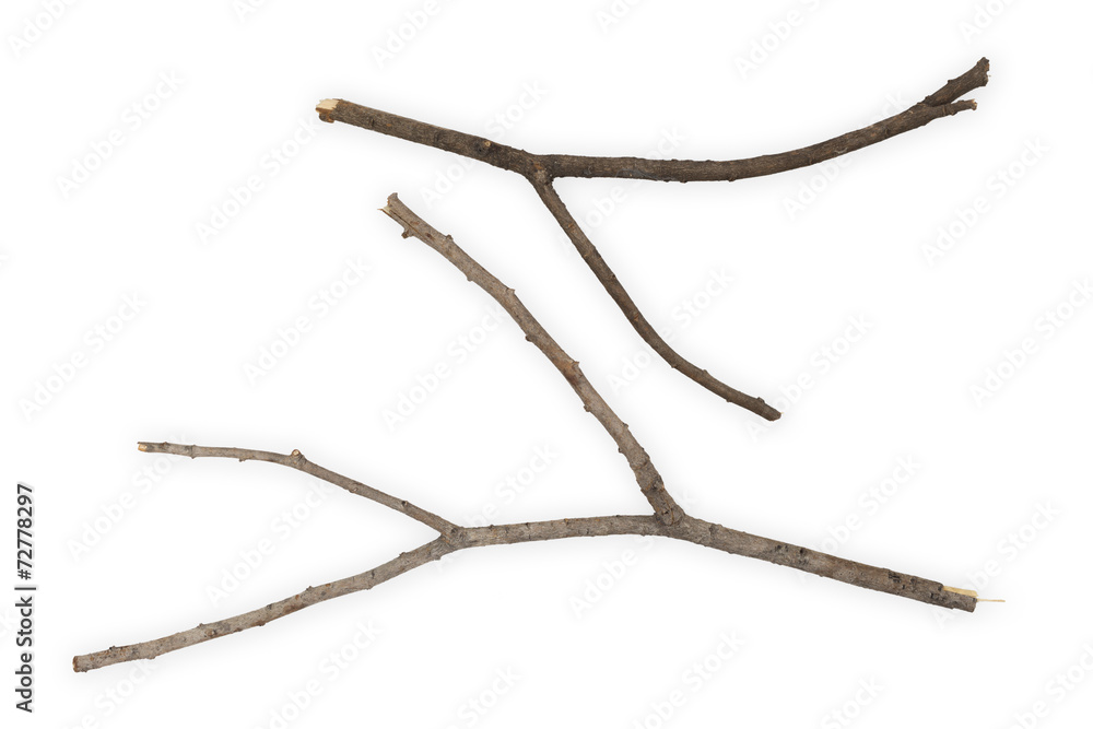 Obraz premium Branches Sticks