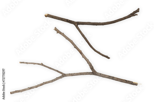 Branches Sticks