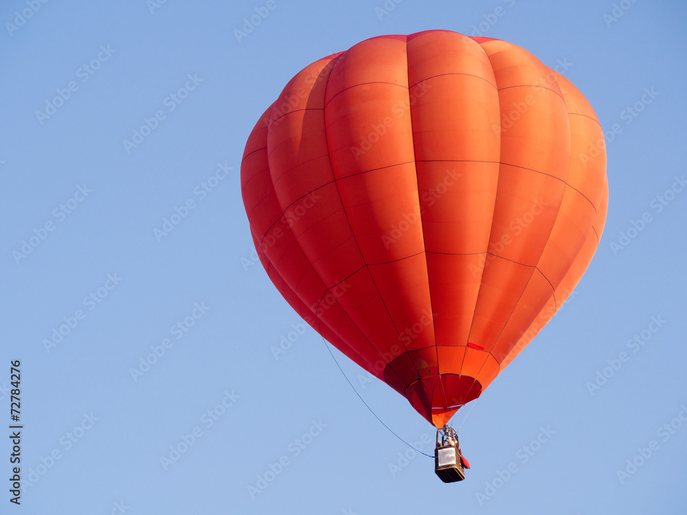 Naklejka premium Montgolfiere #146