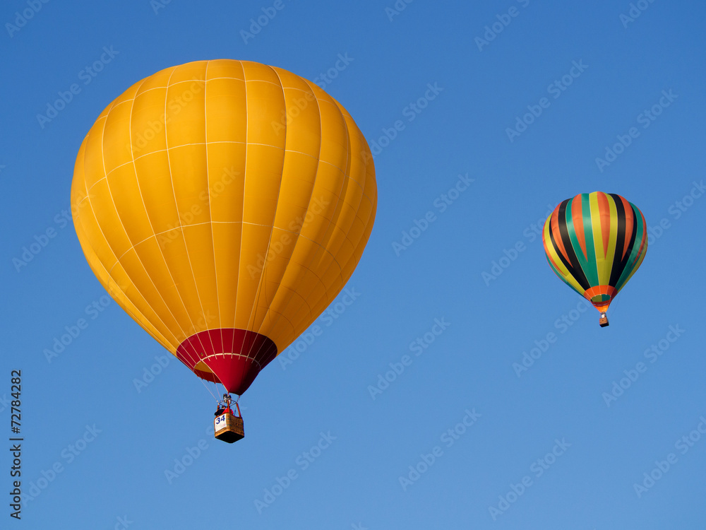 Naklejka premium Montgolfiere #147