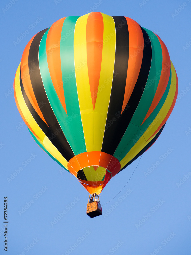 Naklejka premium Montgolfiere # 148