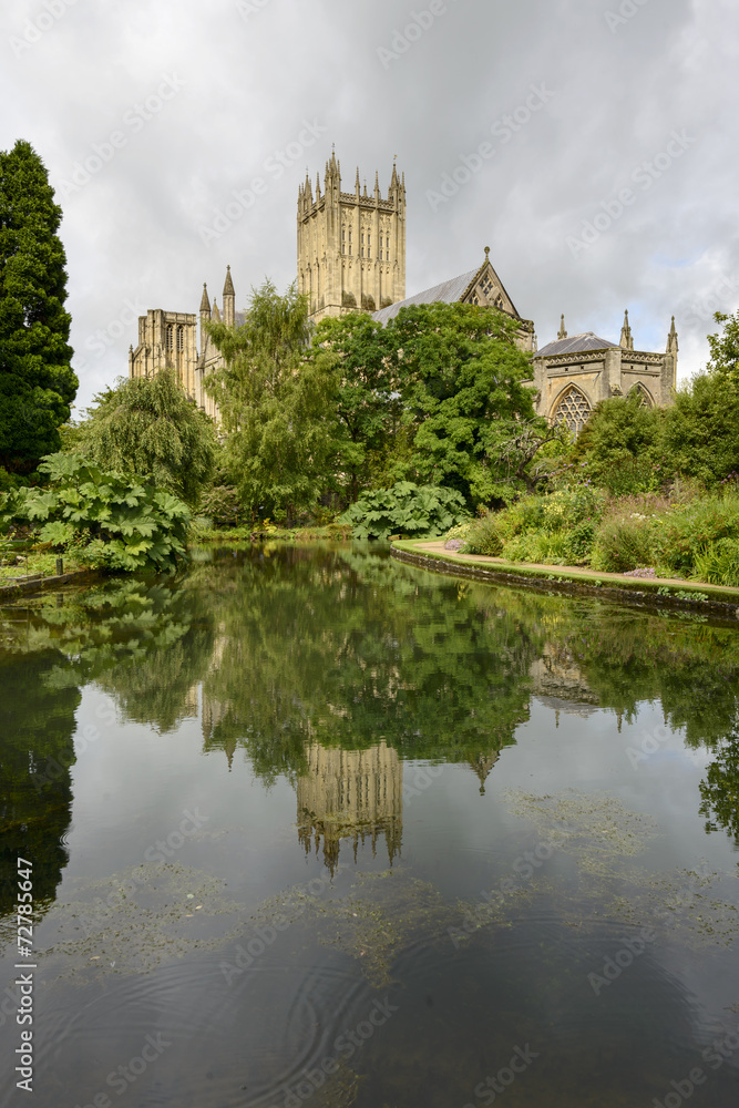 Cathedral reflecting in wells at  Bishop Palace garden, Wells