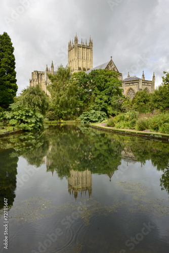Cathedral reflecting in wells at Bishop Palace garden, Wells