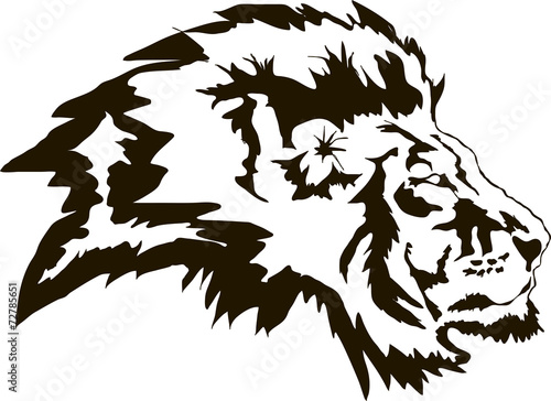 Lion Head Vector