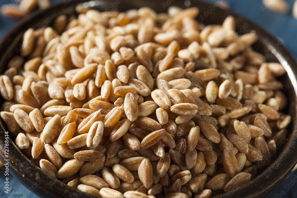 Organic Raw Farro Grain Organic Raw Farro Grain