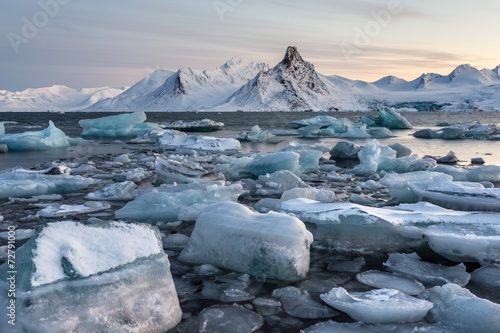 Extraordinary, icy world of the Arctic