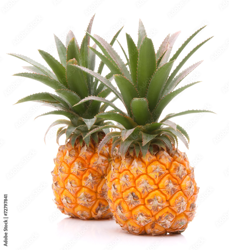 Fototapeta premium Pineapple tropical fruit or ananas