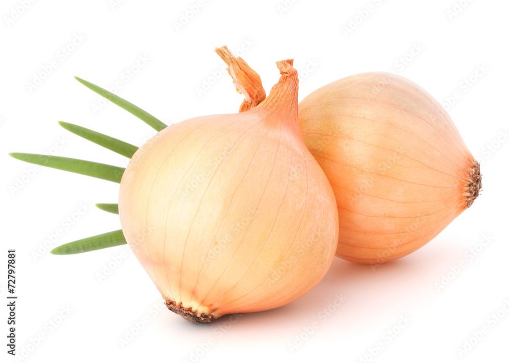 Fototapeta premium Onion vegetable