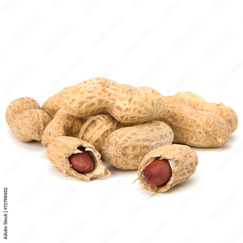 Peanut Peanut