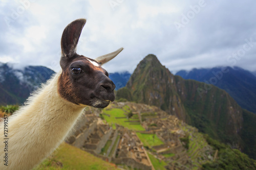 Machu Picchu, Peru, UNESCO World Heritage Site. One of the New S