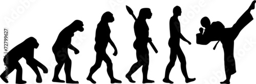 Karate Evolution