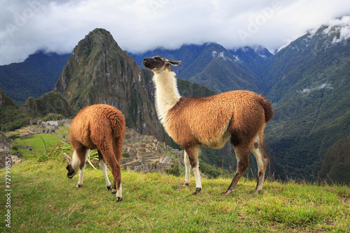 Machu Picchu, Peru, UNESCO World Heritage Site. One of the New S © sunsinger