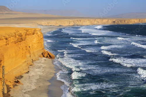 National Park Paracas, Peru photo