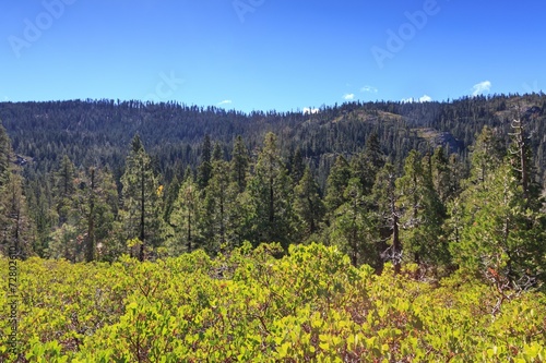 Sierra Nevada Lanscape