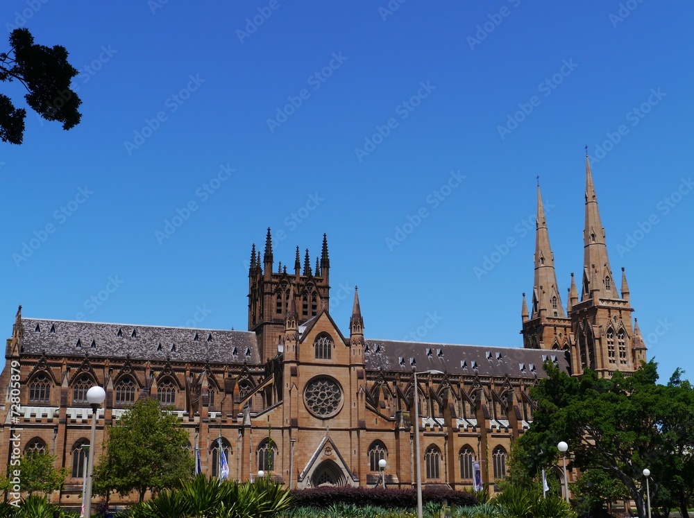 Obraz premium The Saint Mary cathedral in Sydney in Australia