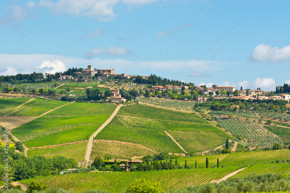 Naklejka premium City in Tuscany