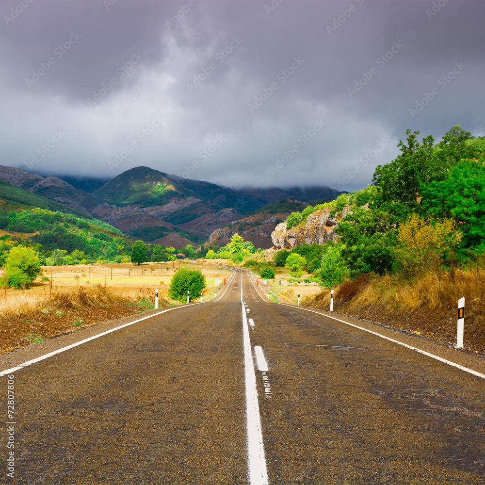 Fototapeta premium Asphalt Road
