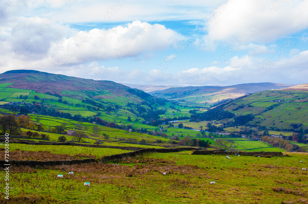 Green Countryside landscape in Yorkshire Dales National Park, UK