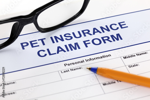 Pet insurance claim form photo