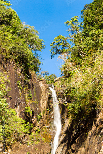 Sky is Blue Jungle Scene