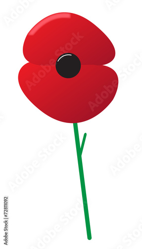 Fototapeta Naklejka Na Ścianę i Meble -  Poppy Red