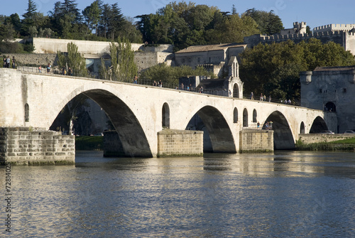 The Pont d'Avignon on the Petit Rhone 