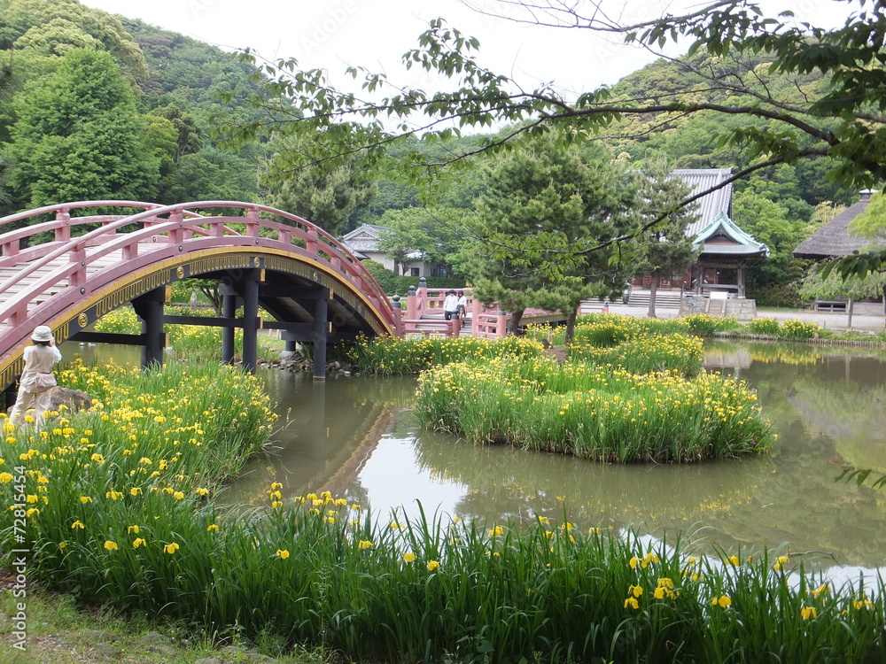 Fototapeta premium 橋