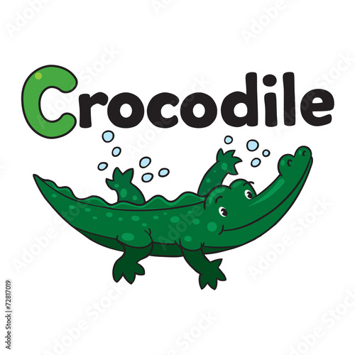 Little crocodile or alligator. Alphabet C