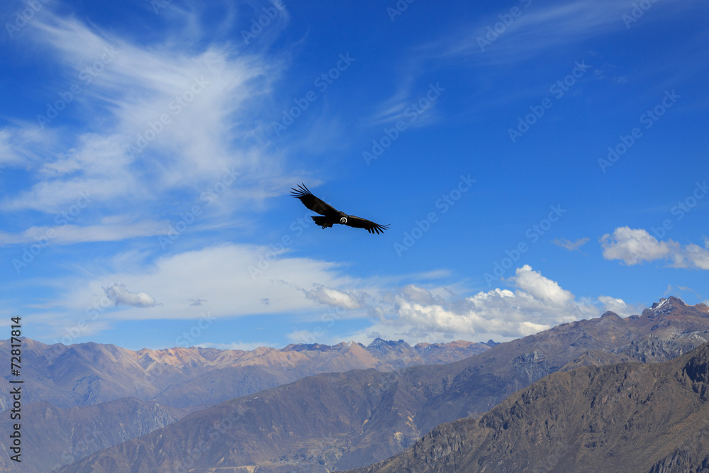 The canyon Colca is the deepest in the world