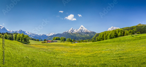 Idyllic summer landscape in the Alps © JFL Photography