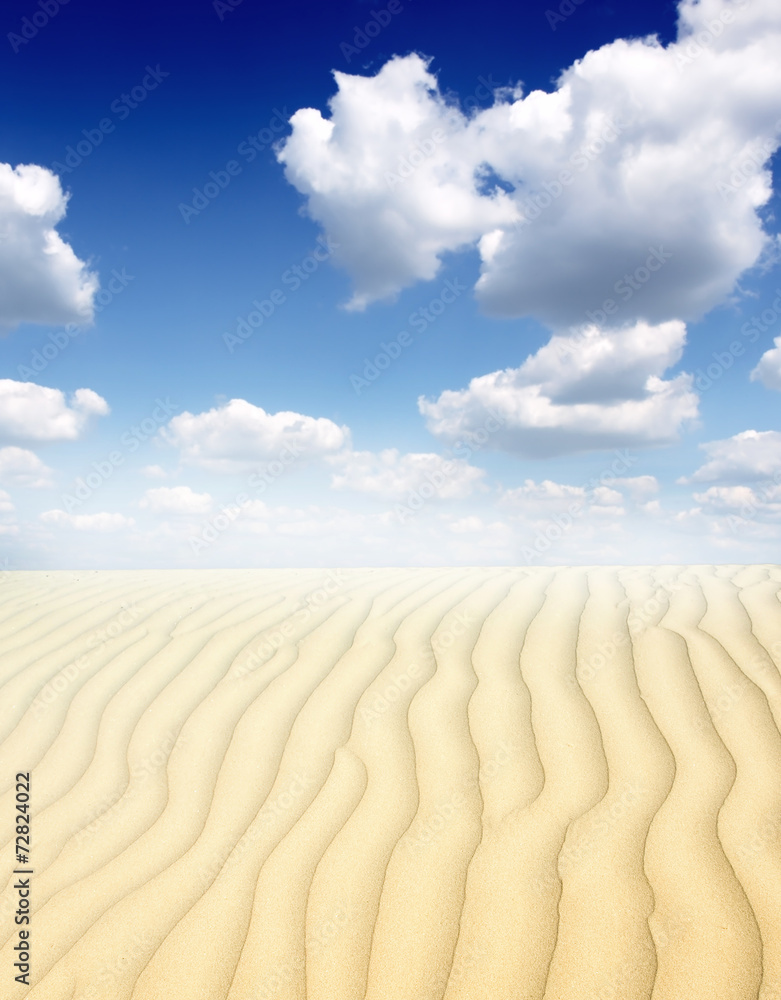 Naklejka premium Sand dunest in the Sahara Desert