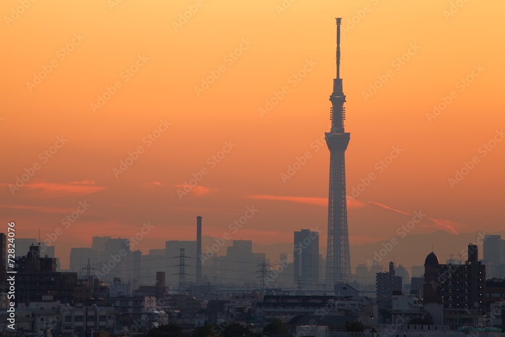 View of Tokyo city and sunset sky in autumn season