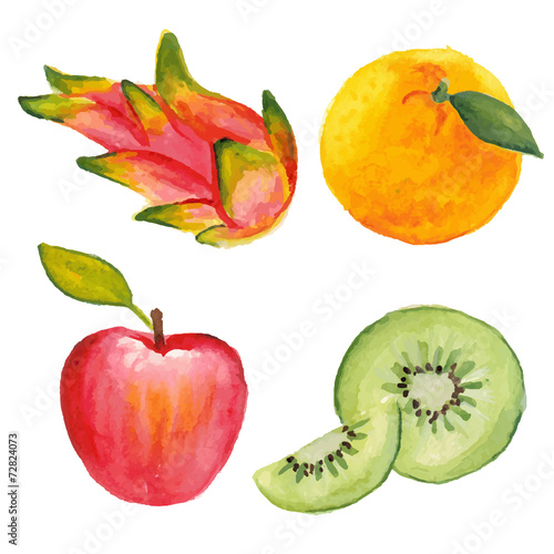 Apple, qiwi, orange and dragon fruit. Hand drawn