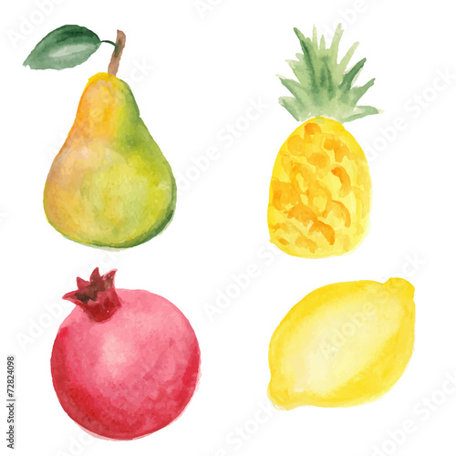 Pear, pinapple, pomegranate and lemon. Hand drawn