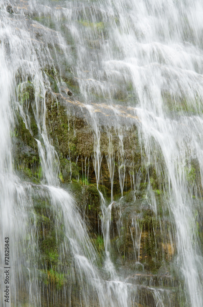 Fototapeta premium Cola de Caballo