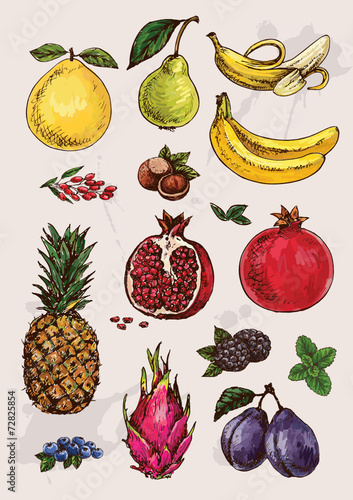 collection of  hand drawing isolated  fruits