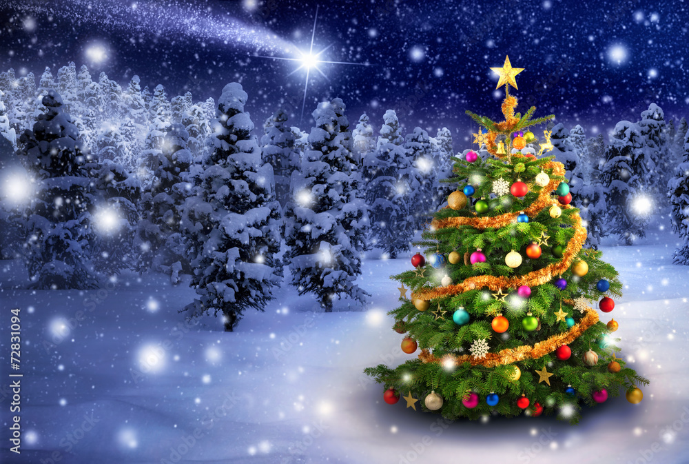 Weihnachtsbaum in verschneiter Nacht - obrazy, fototapety, plakaty 