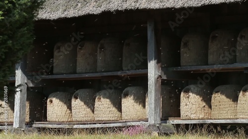 Traditionelle Bienenkörbe in der Lüneburger Heide