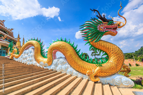 Giant chinese dragon on the roof © Photo Gallery