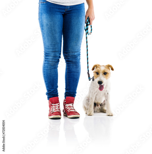 Fototapeta Naklejka Na Ścianę i Meble -  Cute dog on lead on walk with his owner