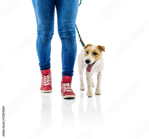 Fototapeta Naklejka Na Ścianę i Meble -  Cute dog on lead on walk with his owner