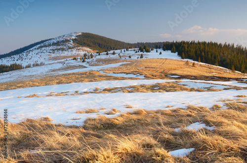 Fototapeta Naklejka Na Ścianę i Meble -  Spring landscape in the mountains