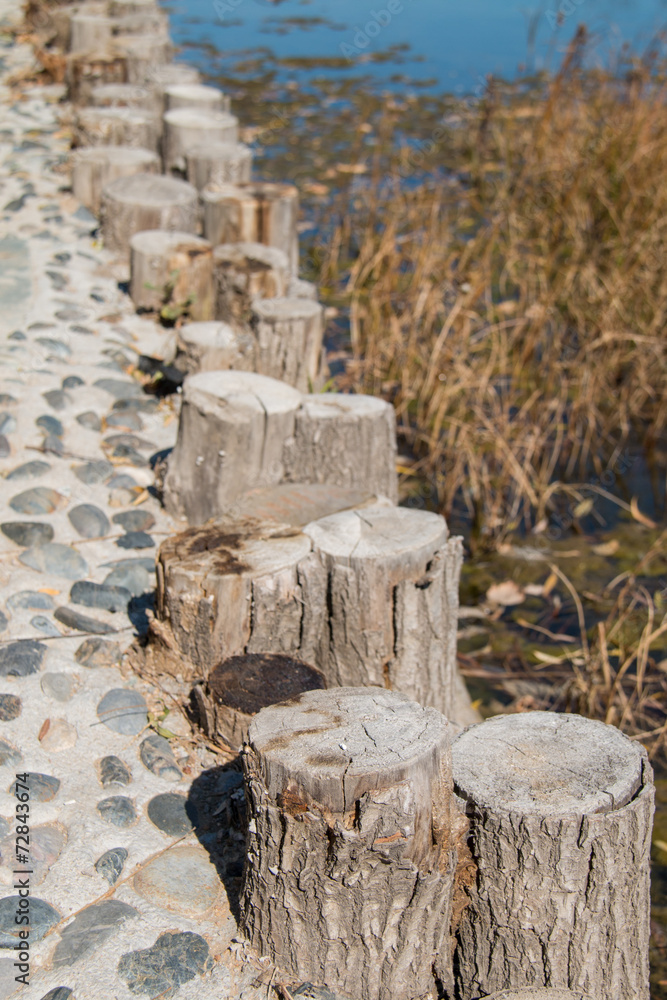 Park stumps in a row