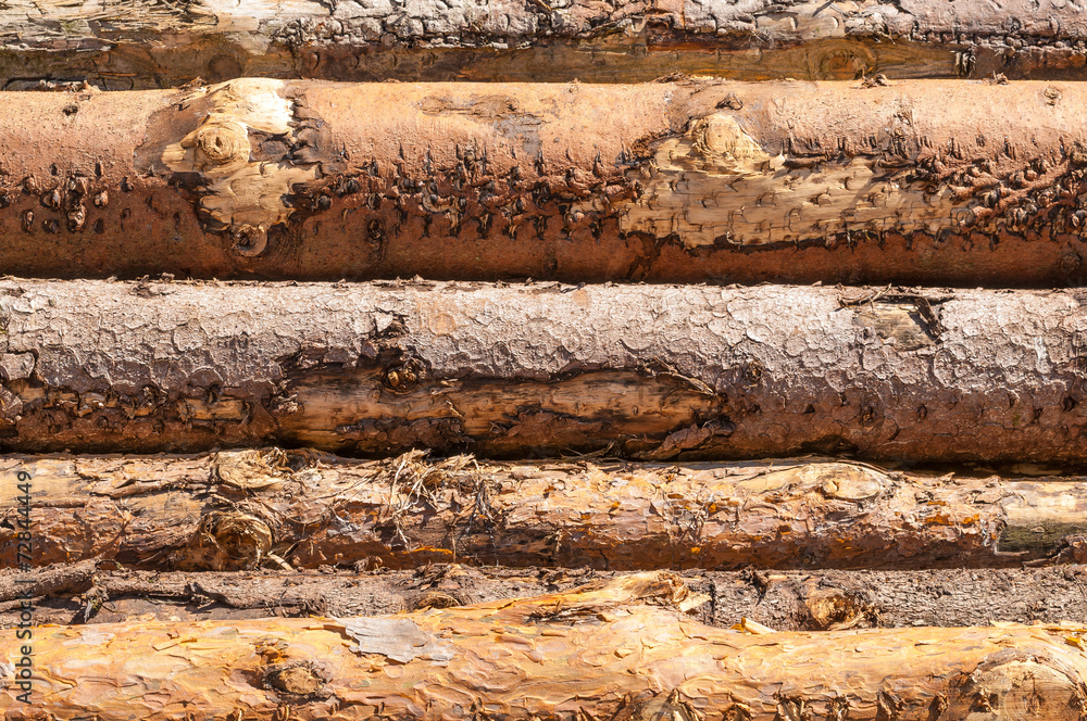 Kiefernholz, Holzindustrie, Festmeter StockFoto Adobe Stock